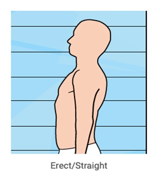 BodyPosture