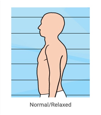 BodyPosture
