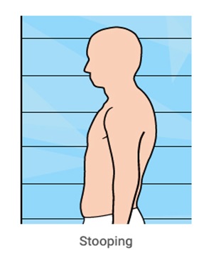 BodyPosture
