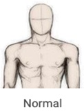 ChestBuild